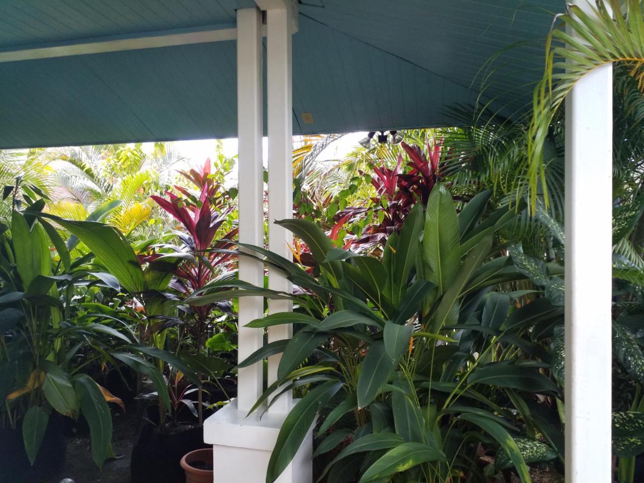 Aqua Point Condos Rentals Bocas del Toro Eksteriør bilde